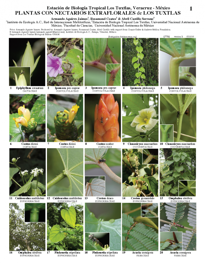  773-mexico_plantas_con_nectarios-.pdf 