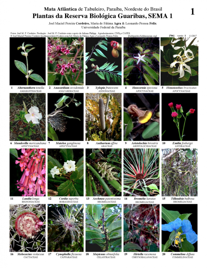 786_brazil_plantas_da_reserva_guaribas.pdf 