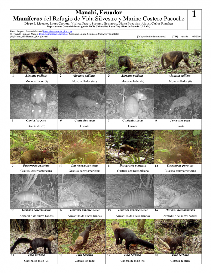 789_ecuador_mamiferos_de_pacoche.pdf