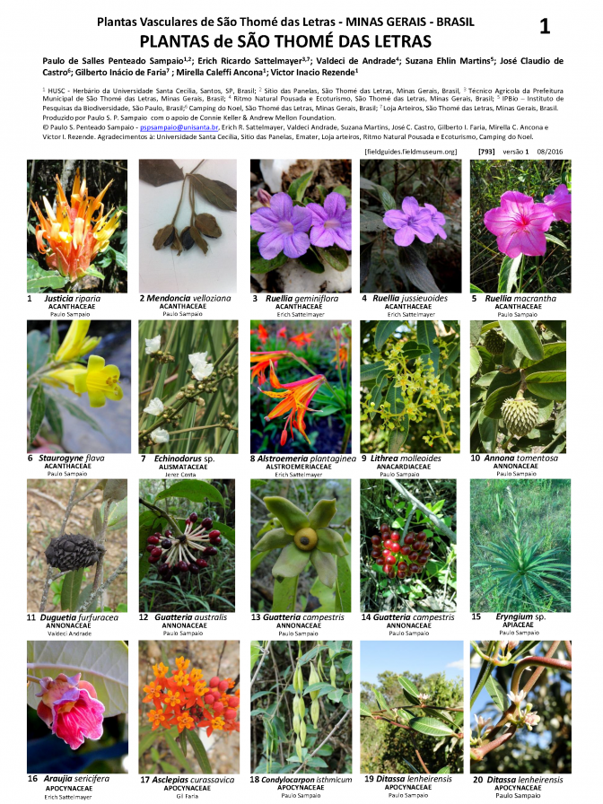 793_brazil-_flora_de_sao_thome