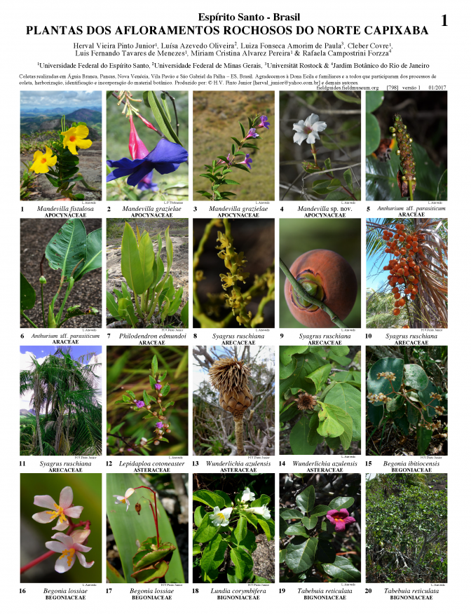798_brazil_plantas_de_espirito_santo.pdf