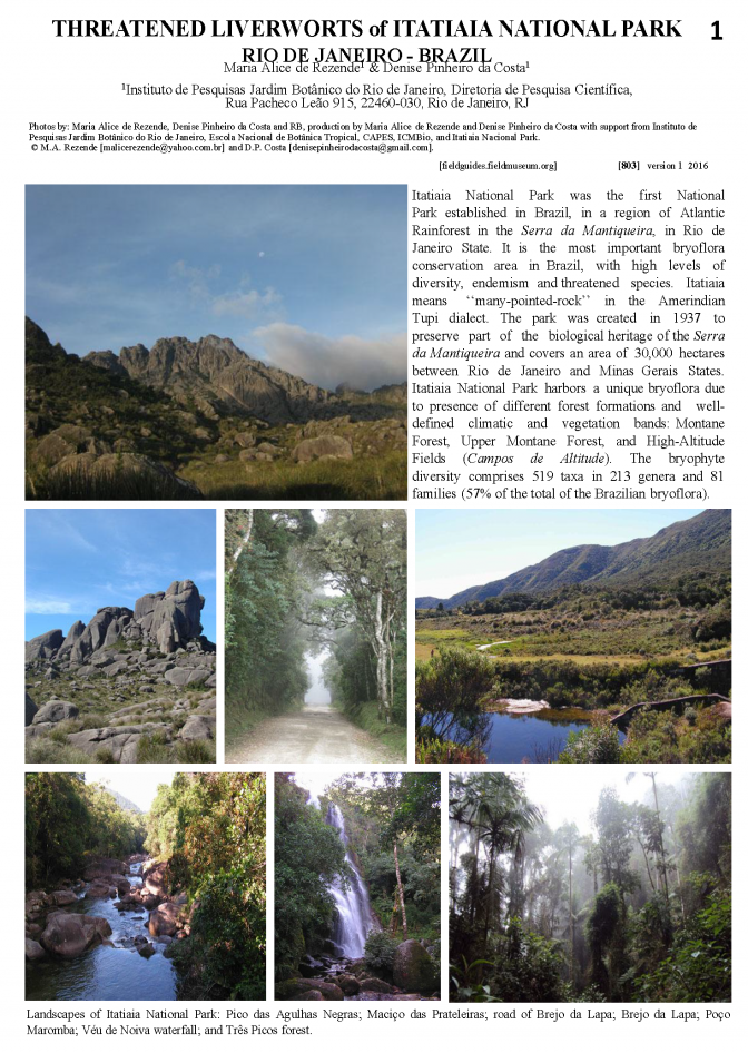 803_brazil_liverworts_of_itatiaia_rj.pdf 