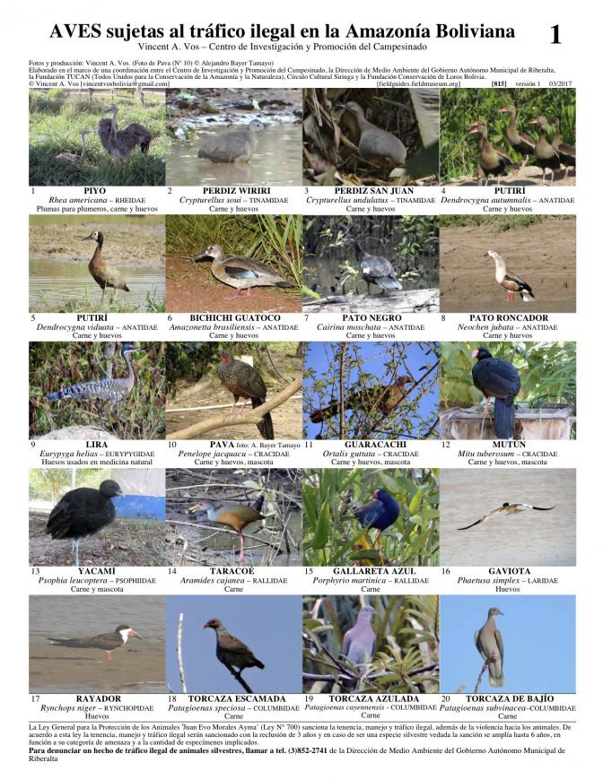 815_bolivia_aves_sujetas_a_trafico_ilegal.pdf