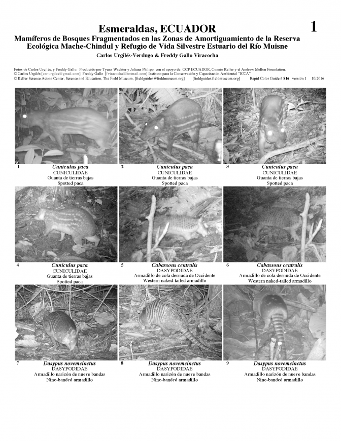  ecuador-mamiferos_de_muisne.pdf 