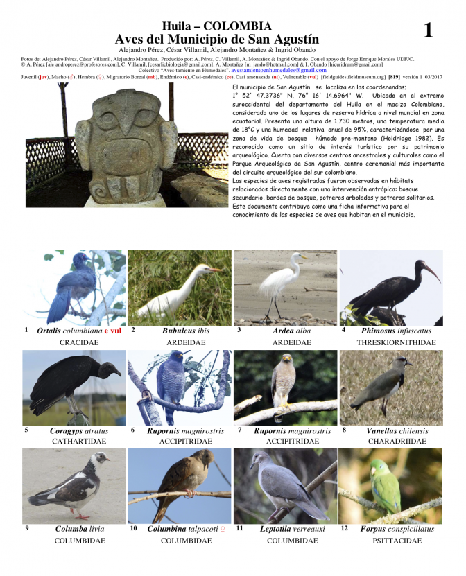 819_colombia_aves_de_san_agustin.pdf 