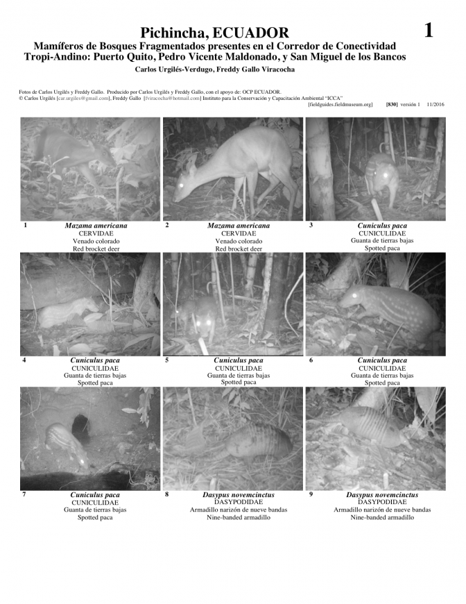 830_ecuador_mamiferos_pichincha.pdf 