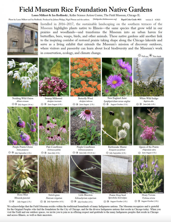 831_usa_rice_native_gardens-v2.pdf