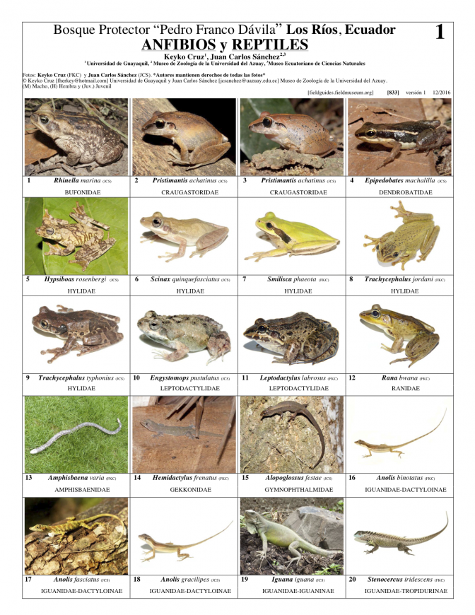 833_anfibios_y_reptiles_de_franco_davila.pdf