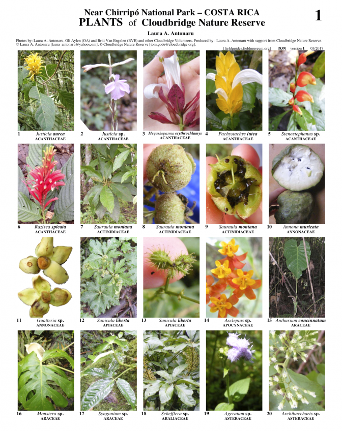 839_cosa_rica_plants_of_cloudbridge_nature_reserve.pdf