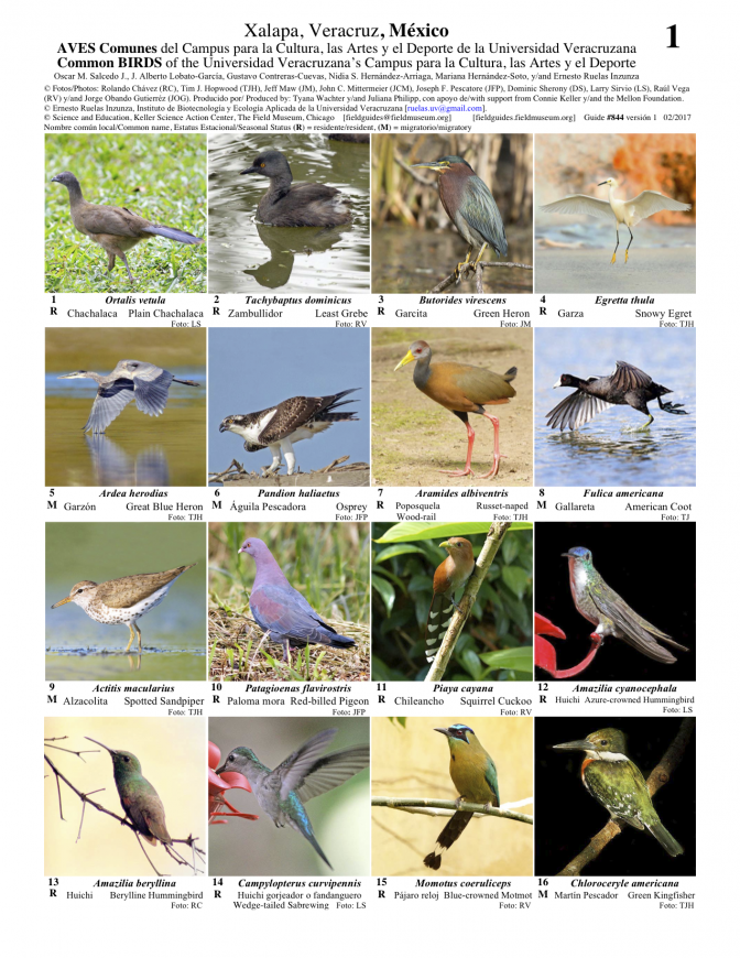 844_mexico-aves_de_la_universidad_veracruzana.pdf