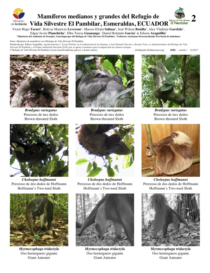 848_ecuador_mammals_of_pambilar.pdf 