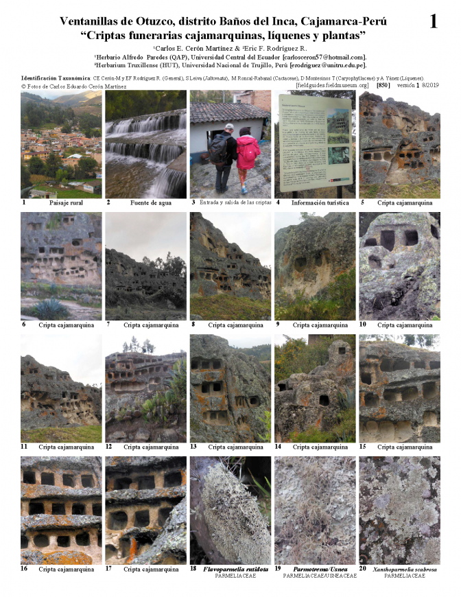 850_peru_criptas_funerarias_cajamarquinas_liquenes_y_plantas.pdf