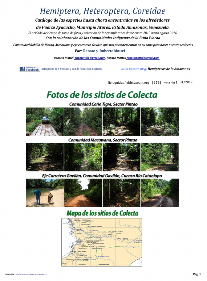 854_venezuela-coreidae_del_amazonas.pdf