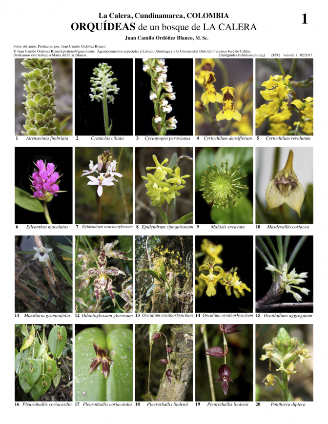 859_colombia_orquideas_de_la_calera.pdf