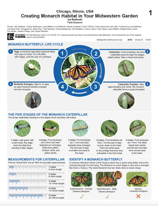 878_usa_illinois_monarchhabitat_version2.pdf