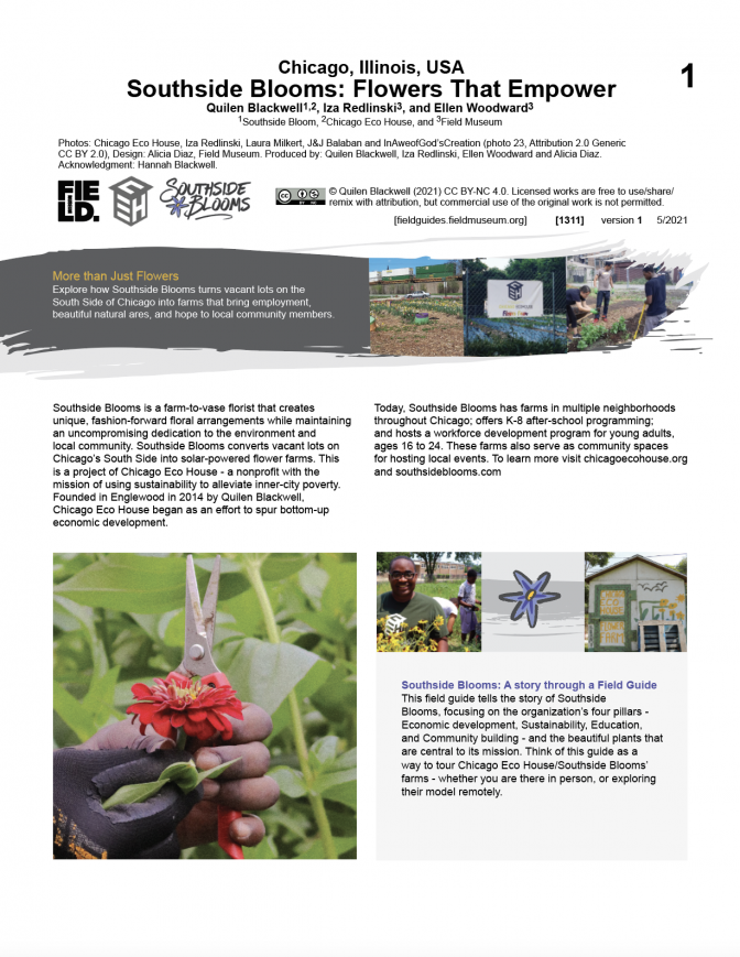 1311_usa_illinois_southsideblooms_ceh.pdf