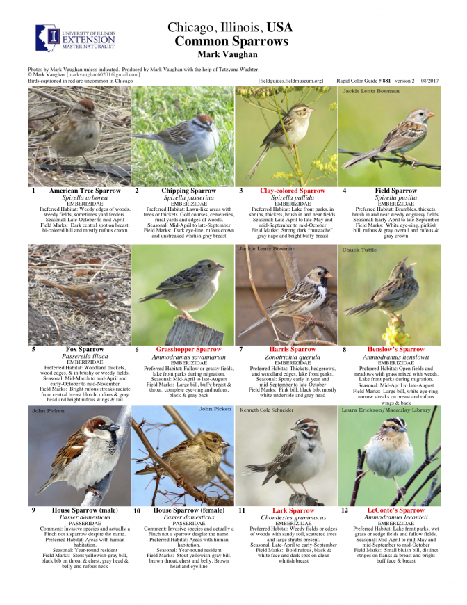 881_usa_common_sparrows_v2.pdf