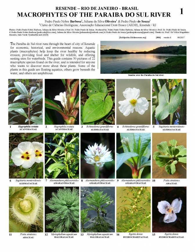 884_brazil_macrophytes_of_paraiba_river.pdf 
