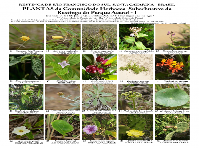 896_brazil_plants_of_acarai_park_sta_catarina.pdf 