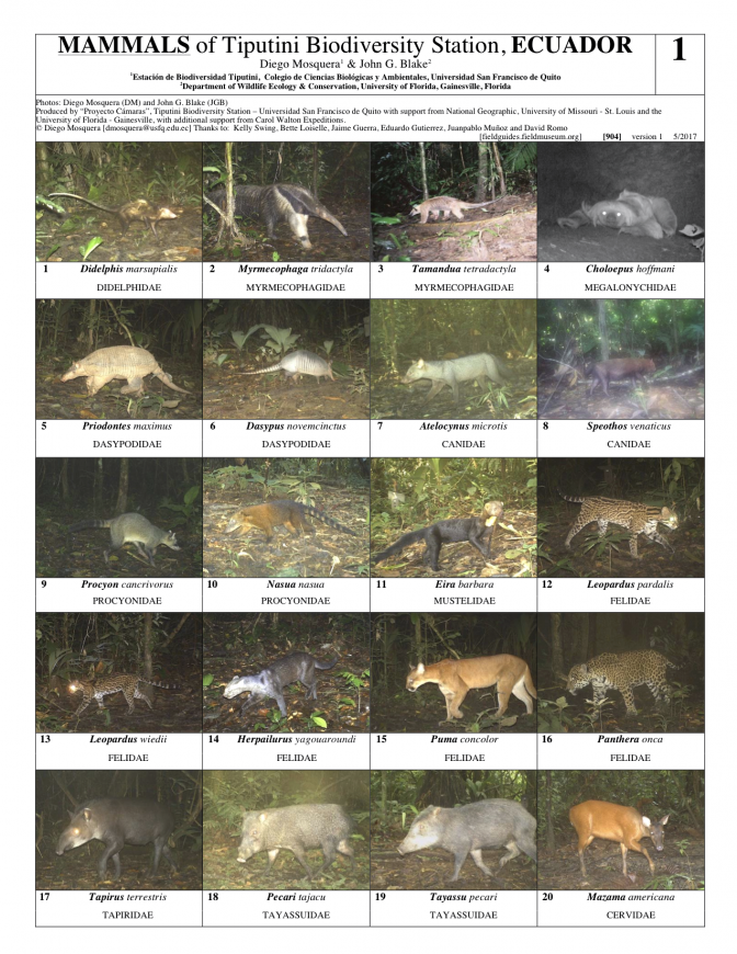 904_ecuador_mammals_of_tiputini.pdf 