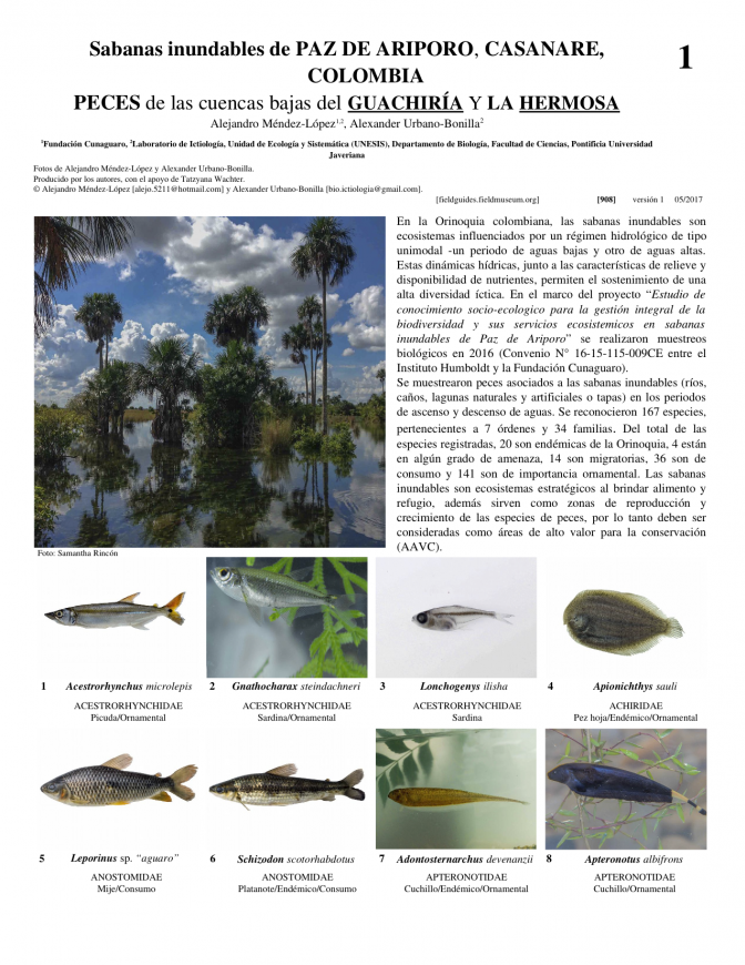 908_colombia_peces_de_guachiria_y_la_hermosa.pdf