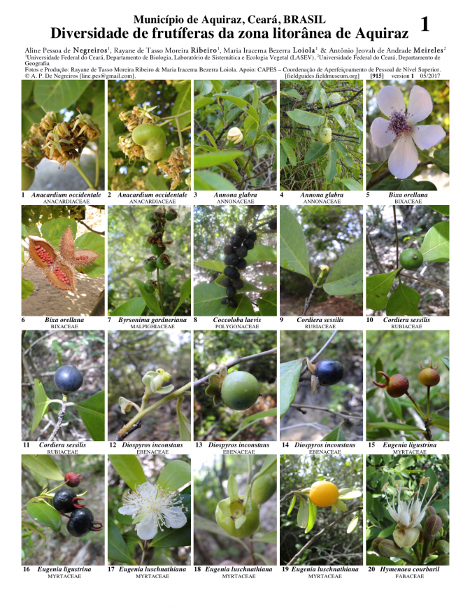  915_brasil_diversidade_de_frutiferas_de_aquiraz.pdf 
