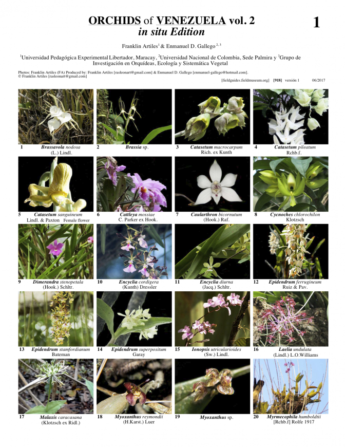 918_venezuela_orchids_vol_2.pdf 