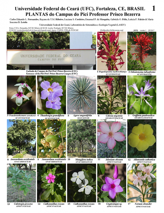 925_brazil_plantas_of_uf_ceara-v2.pdf
