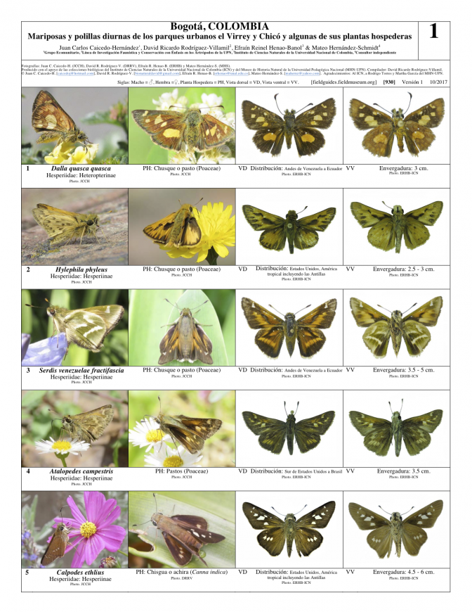 930_colombia_mariposas_y_polillas_de_virrey_y_chico.pdf