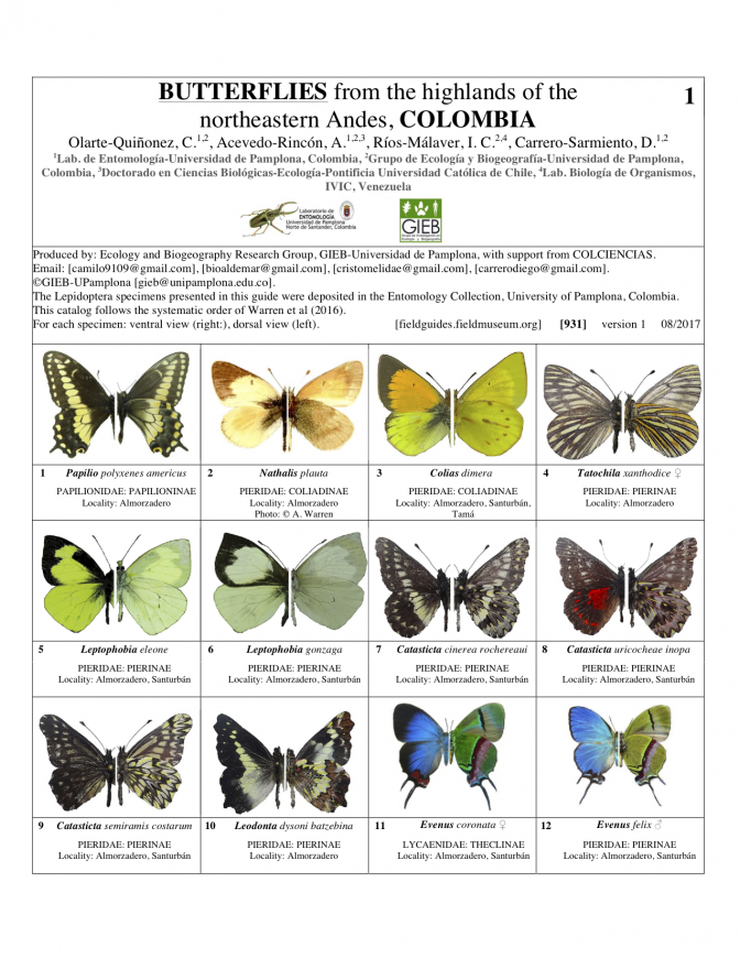 931_colombia_butterflies_of_ne_andes.pdf