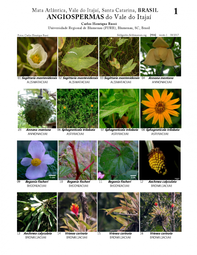 936_brazil_angiospermas_do_vale_do_itajai.pdf 