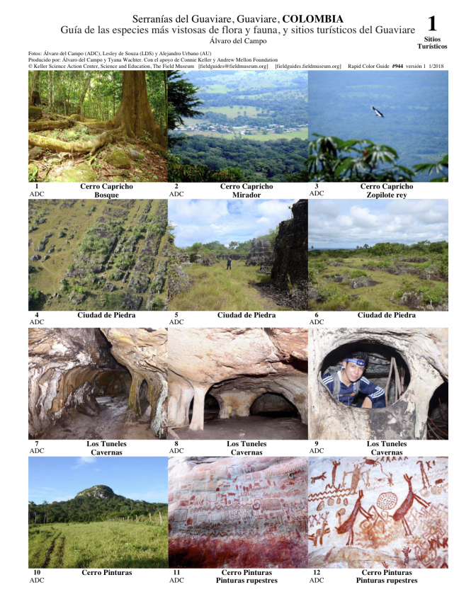  944_colombia_guaviare_flora_fauna_and_attractions.pdf 
