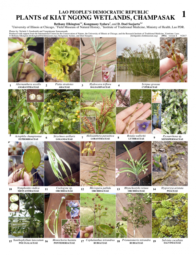 951_lao_kiat_ngong_wetlands.pdf 