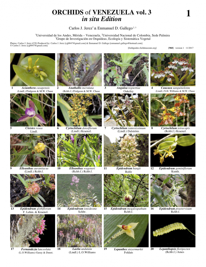 960_venezuela_orchids_vol_3.pdf 
