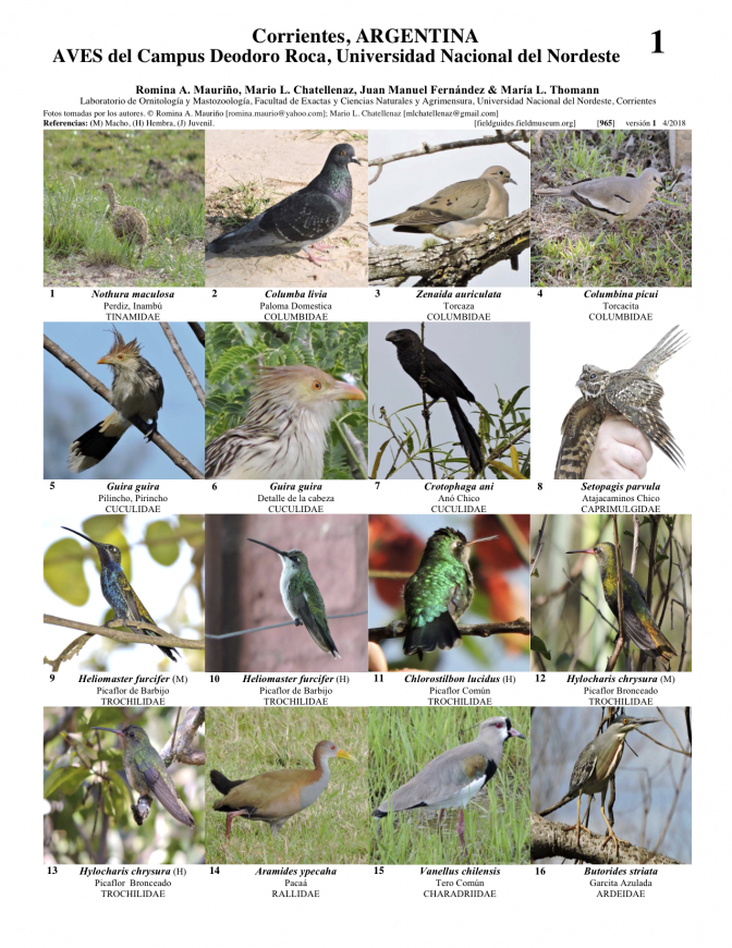  965_argentina_aves_del_campus_deodoro_roca.pdf 