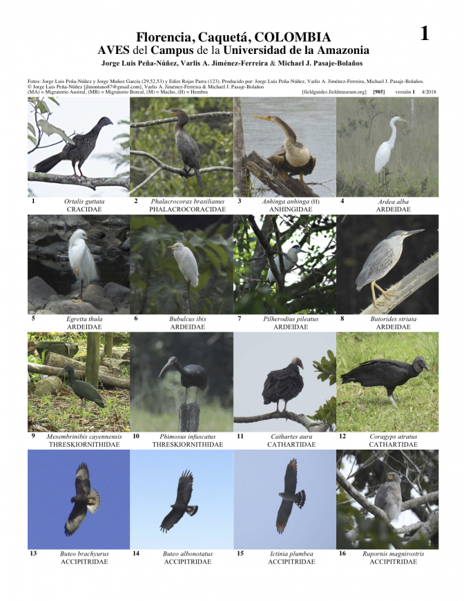 985_colombia_aves_del_campus_uniamazonia.pdf