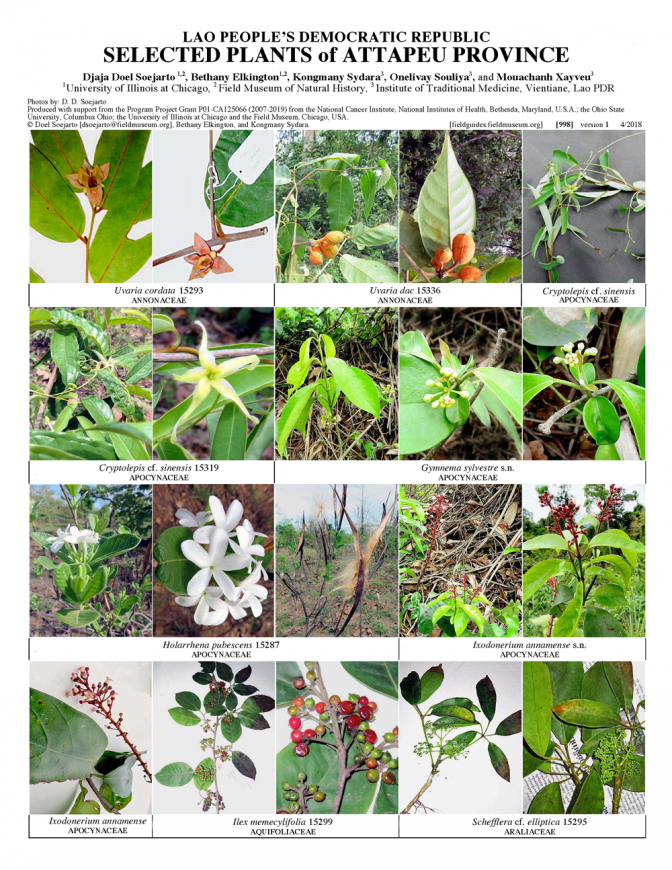 998_lao_plants_of_attapeu_province.pdf 