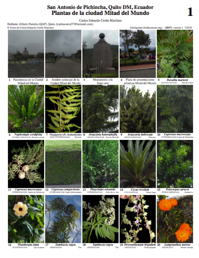 1037_plantas_de_la_mitad_del_mundo