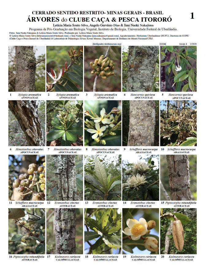 1224_arvores_do_clube_caca_e_pesca_itororo_.pdf 